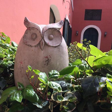 Donnenzo Bed & Breakfast Latiano Bagian luar foto