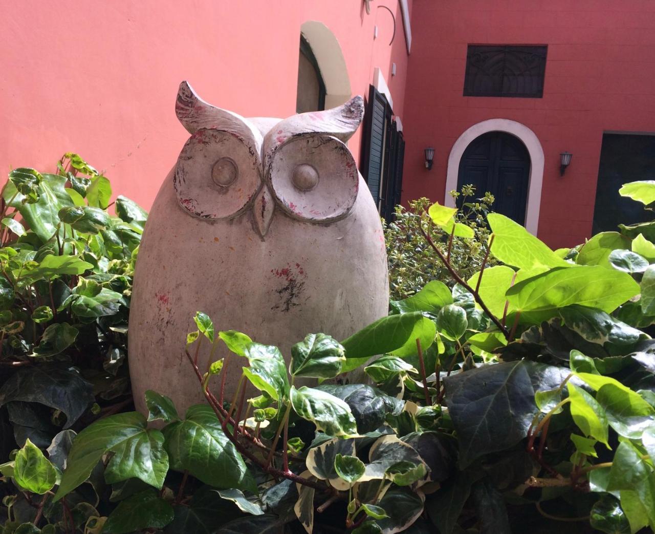 Donnenzo Bed & Breakfast Latiano Bagian luar foto